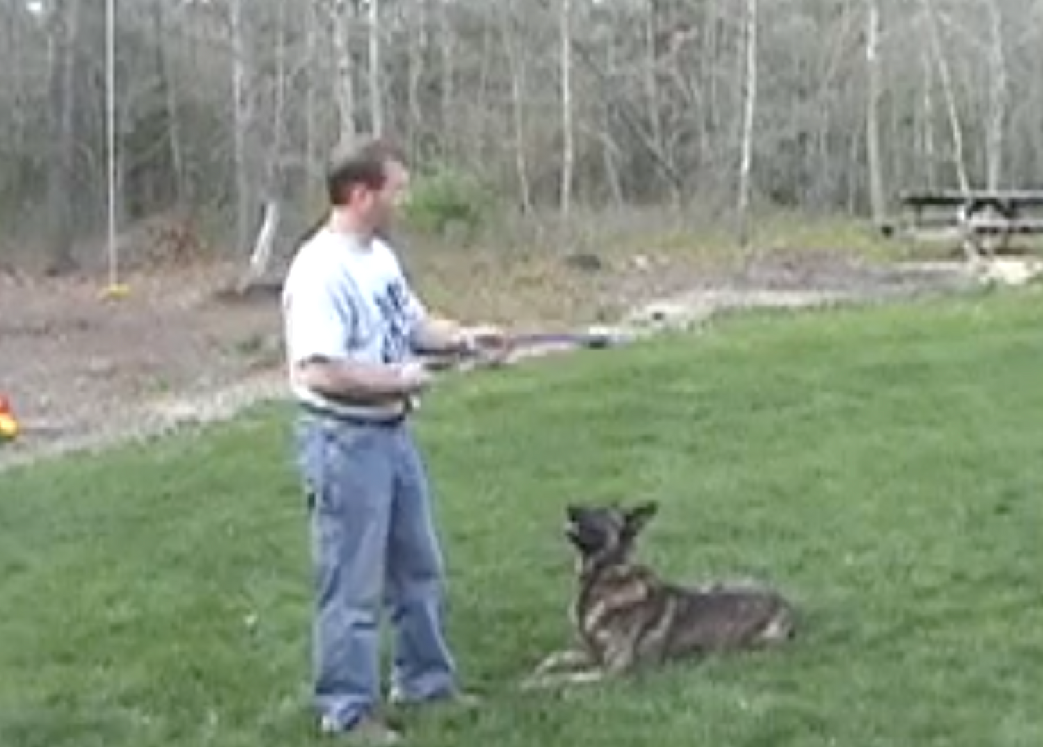 Complete K9 Chase That Ball