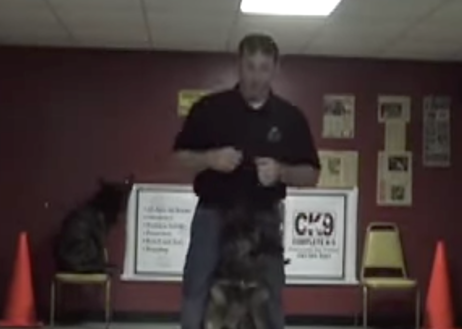 Dog Training with Complete K-9